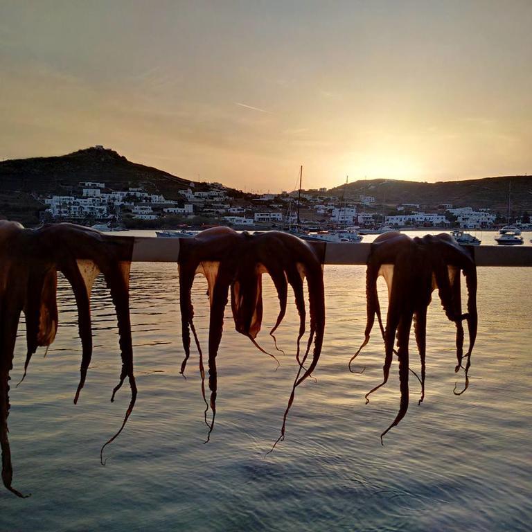 Apartment Sailinn Mykonos Ornos (Mykonos)